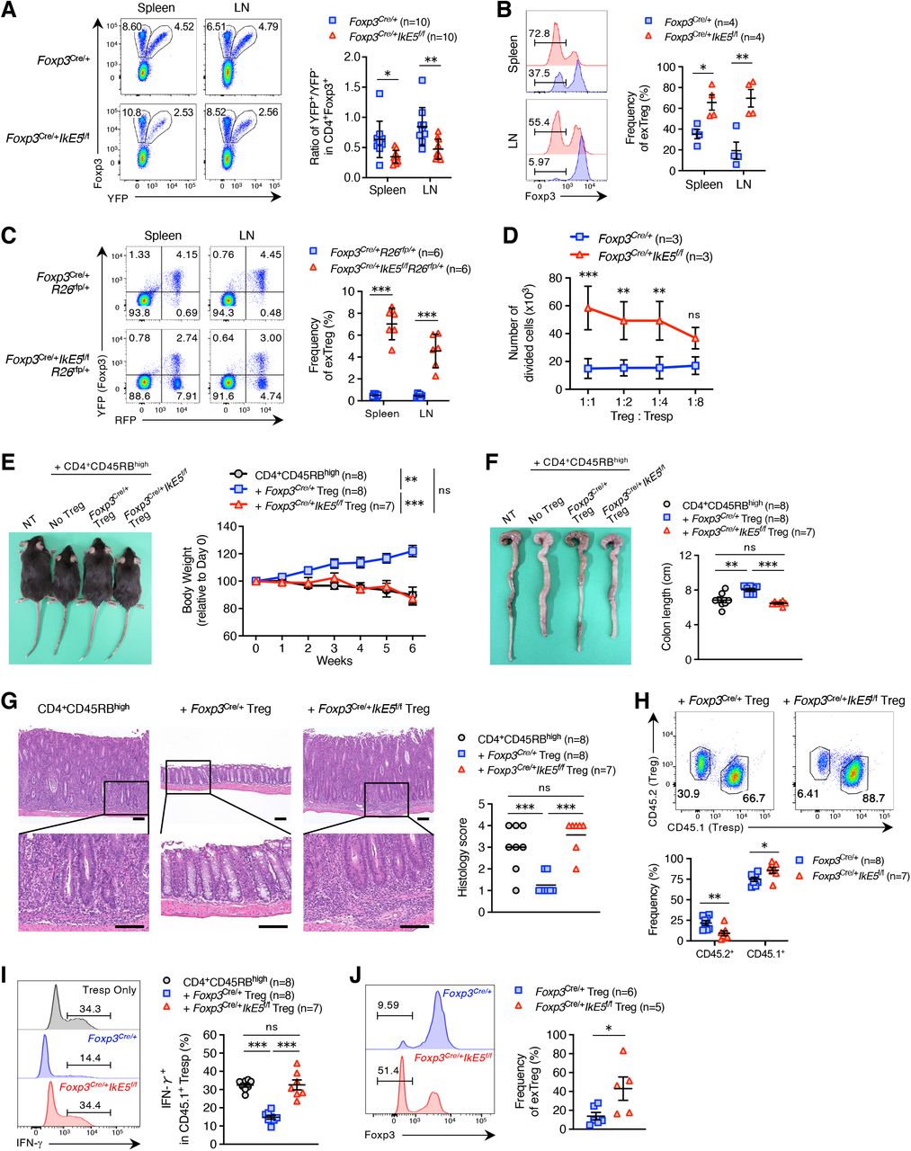 Cd3 Cd28 Human T Activator Dynabeads Thermo Fisher Bioz