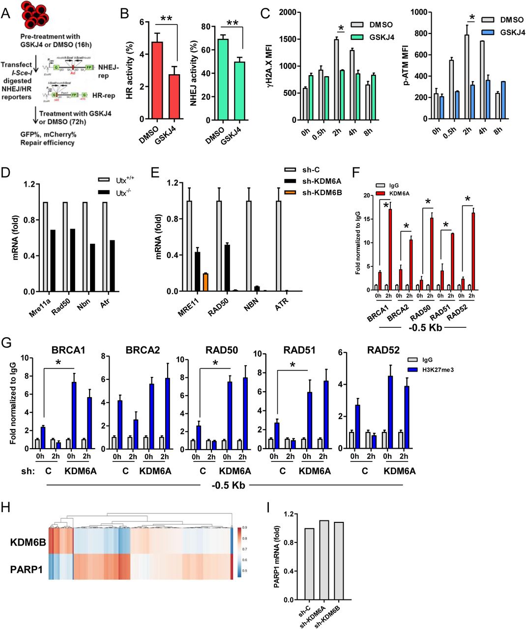 Kdm6 Deficient U937 Cells Millipore Bioz