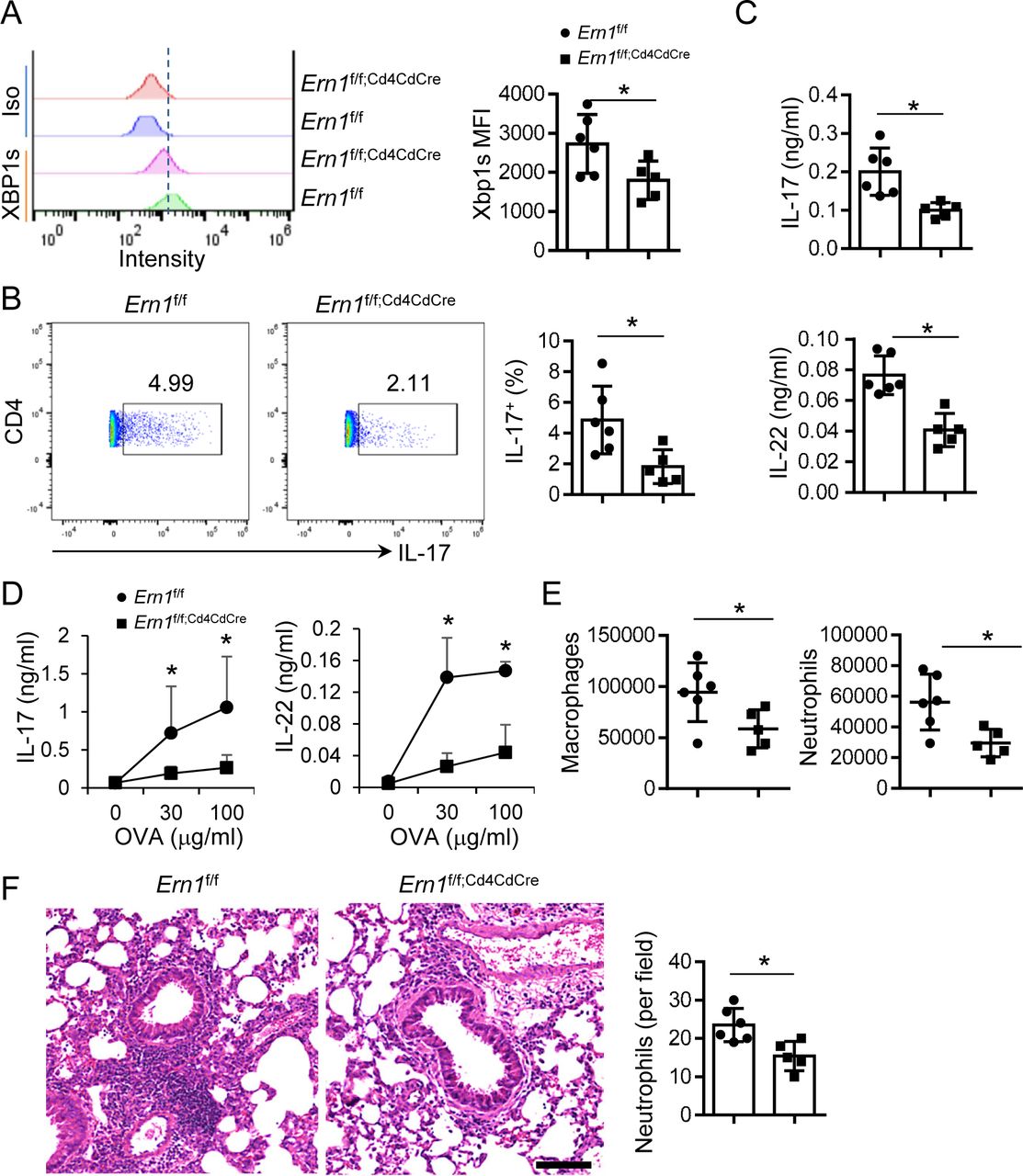 Anti Cd3 Coated Plates Thermo Fisher Bioz