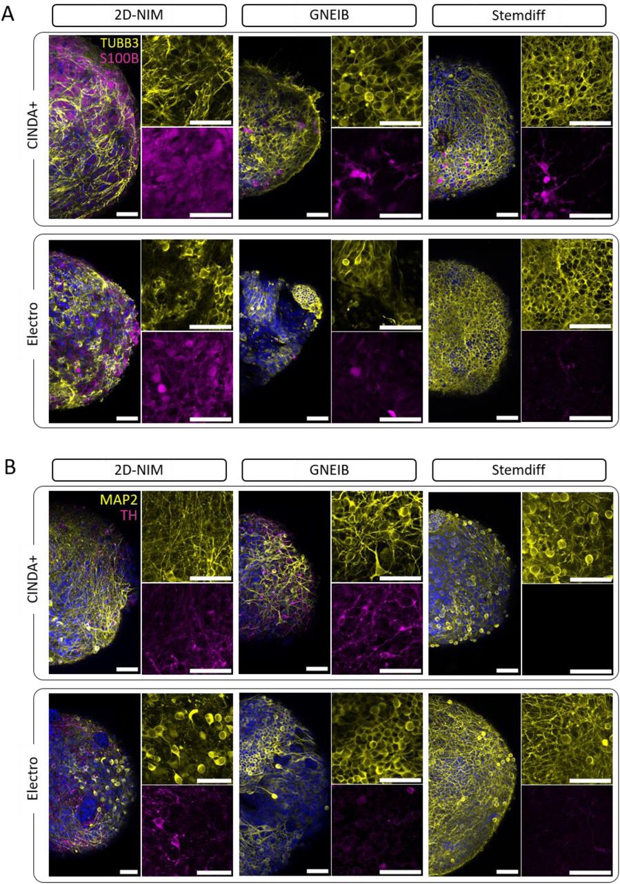 Hoechst 34580 Thermo Fisher Bioz