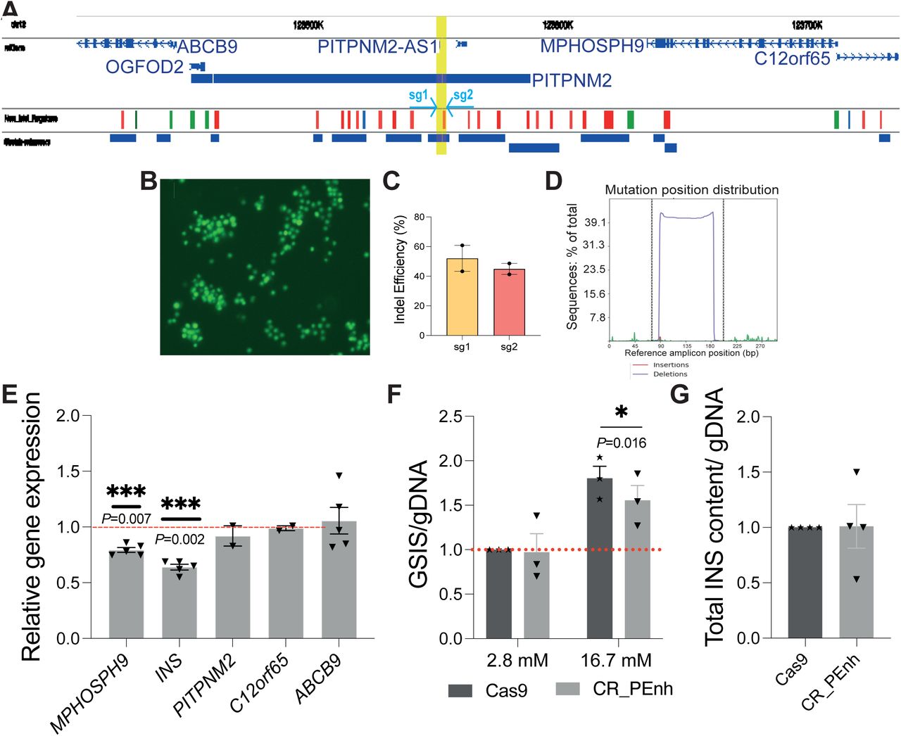 Crispr Cas9 Rnp Complex | Thermo Fisher | Bioz
