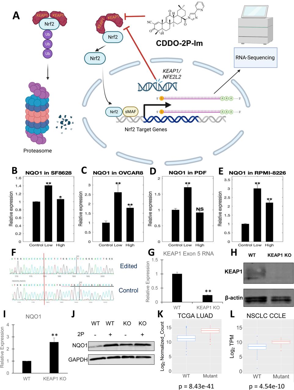Cas9 Protein Thermo Fisher Bioz