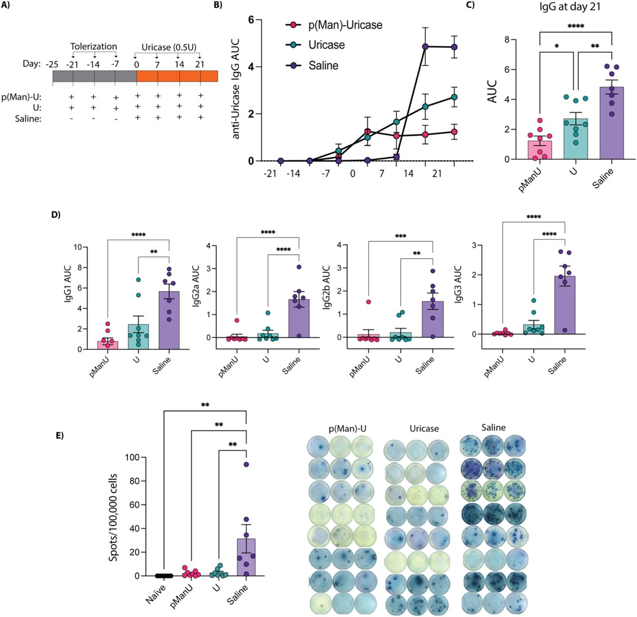 Female Balb C | Charles River Laboratories | Bioz