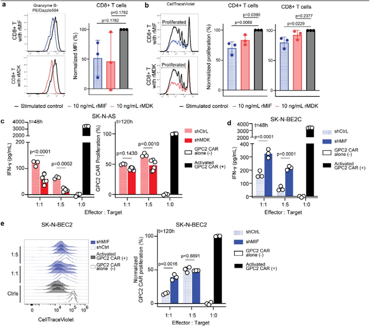 Cd3 Cd28 Dynabeads | Thermo Fisher | Bioz